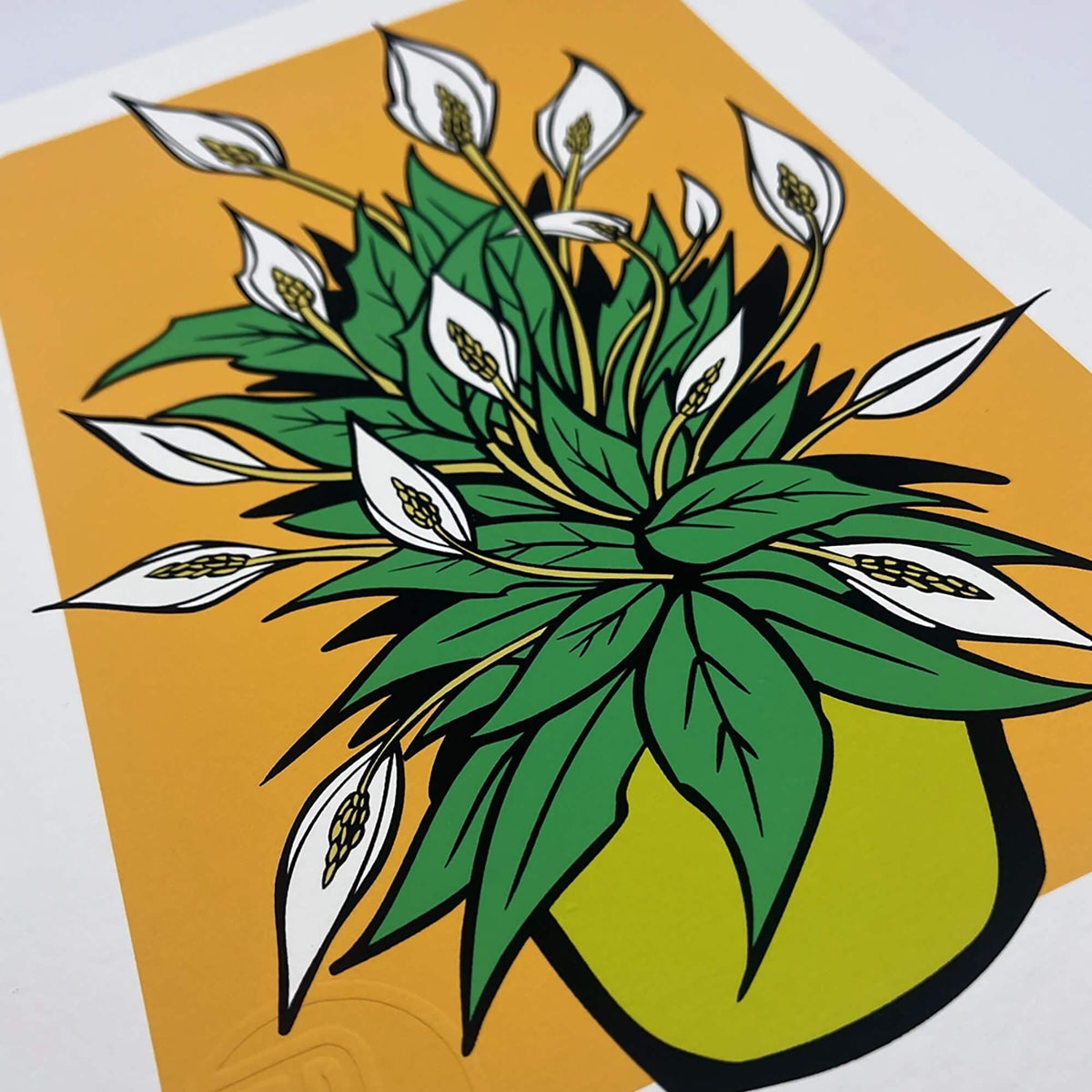 plant print, peace Lilly print