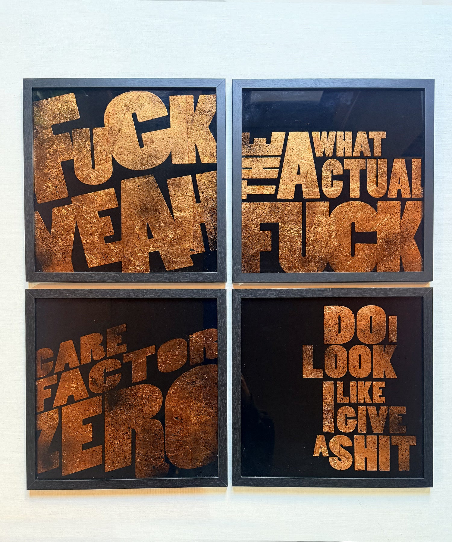 Give a Shit Series - Copper Leaf Glass Artwork (Framed)