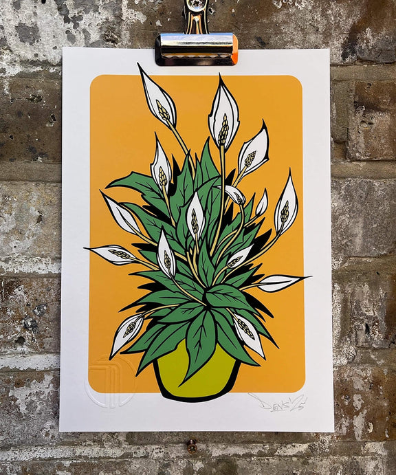 plant print, peace Lilly print