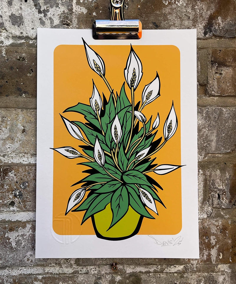 plant print, peace Lilly print