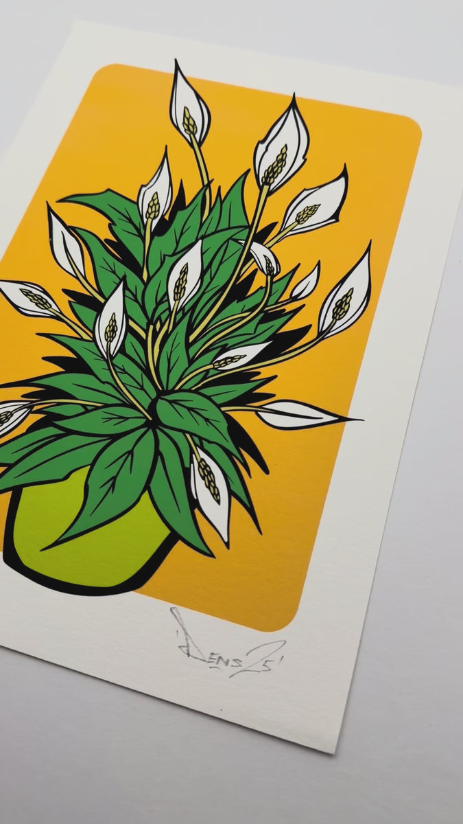plant print, peace Lilly print