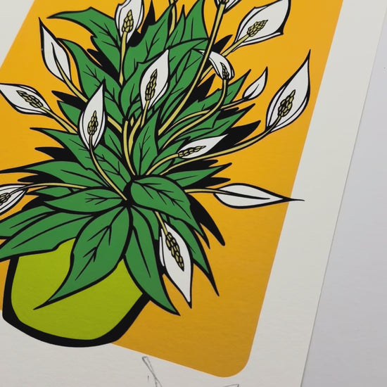 plant print, peace Lilly print